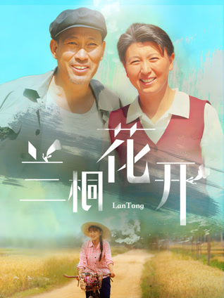 兰桐花开封面图