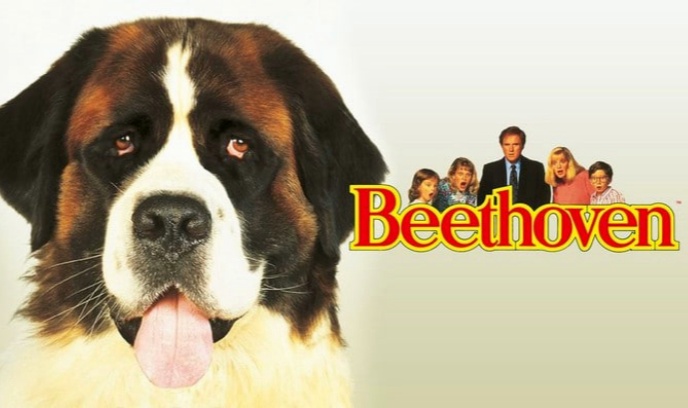 无敌当家封面图