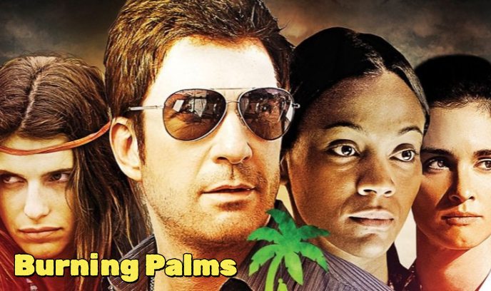 燃烧的棕榈封面图