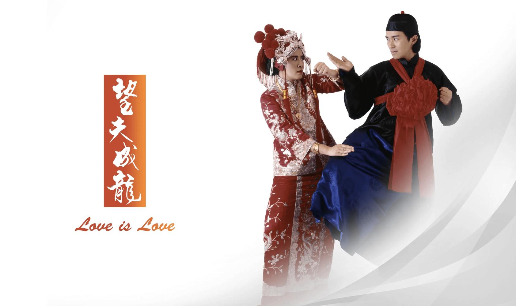 望夫成龙封面图