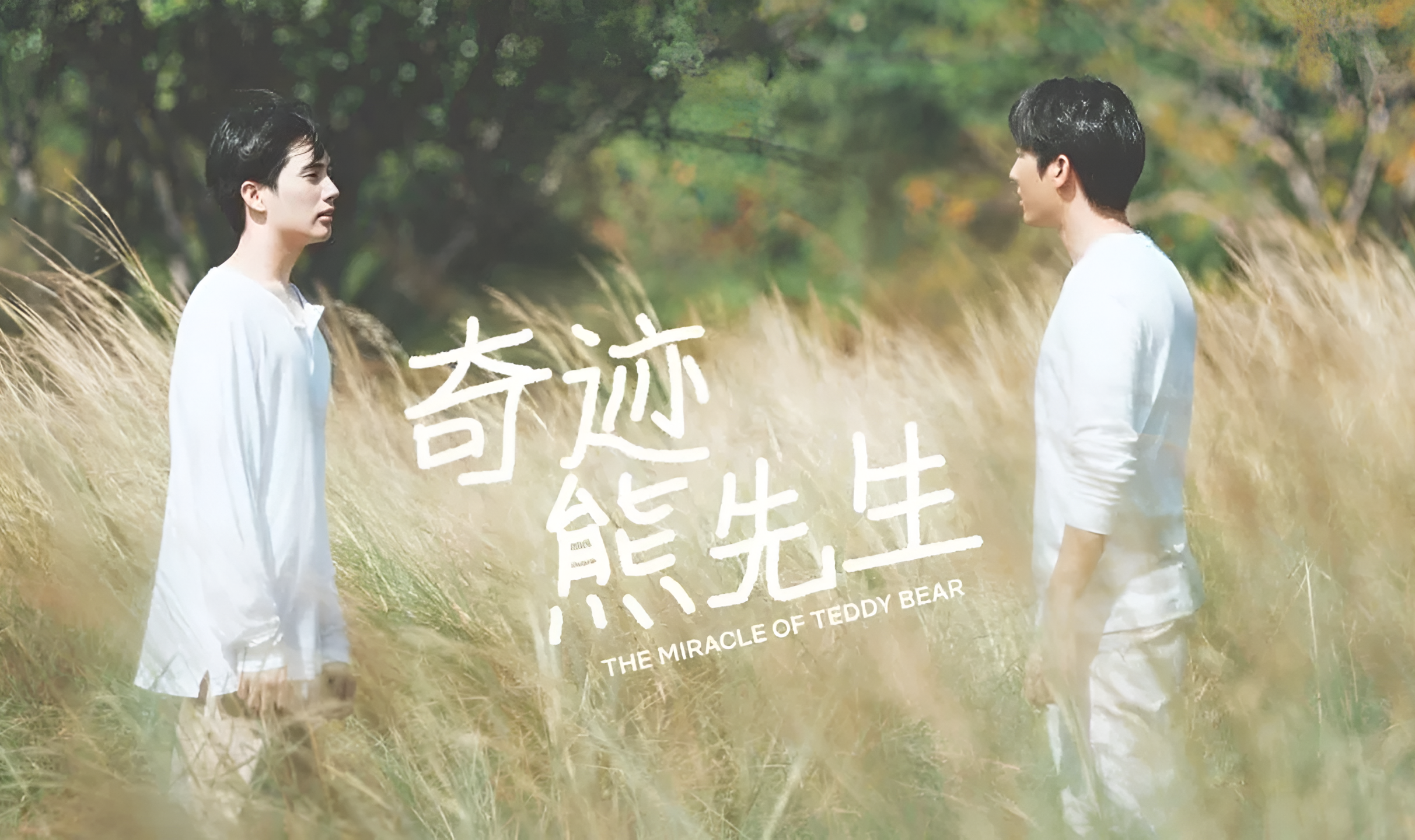 奇迹熊先生封面图