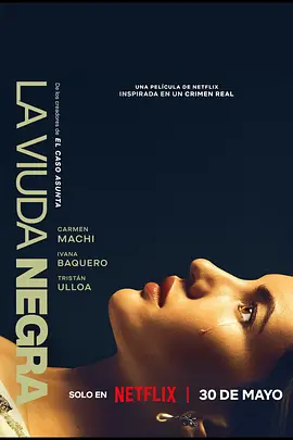 寡妇游戏封面图