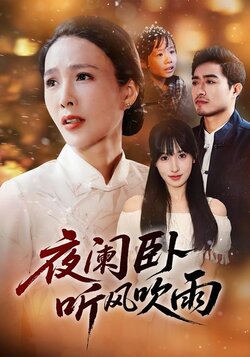 夜阑卧听风吹雨封面图