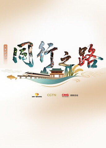 同行之路封面图