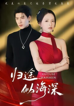 归途似海深封面图