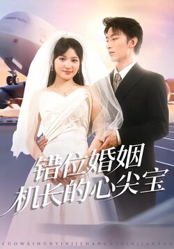 错位婚姻机长的心尖宝封面图