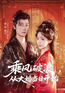 乘风破浪，从大婚当日开始封面图