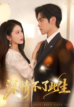 深情不了此生封面图