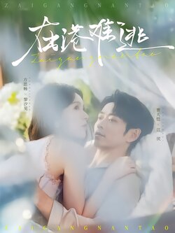 在港难逃封面图