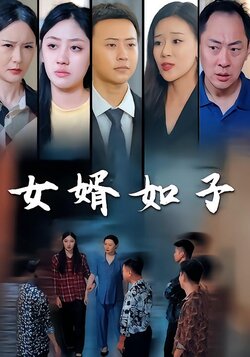 女婿如子封面图