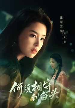 何须相守到白头封面图