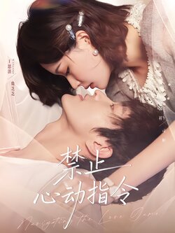 禁止心动指令封面图