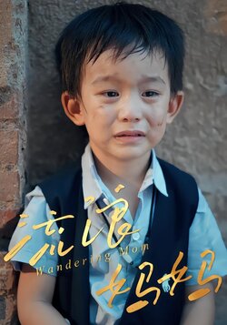 流浪妈妈封面图
