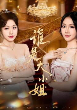 谁是大小姐封面图