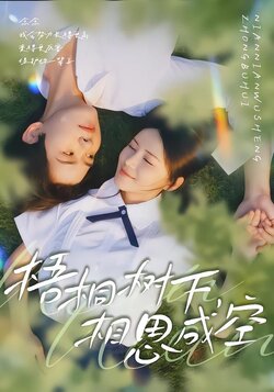 梧桐树下，相思成空封面图