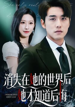 消失在她的世界后她才知道后悔封面图