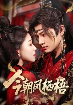 今朝凤栖梧封面图