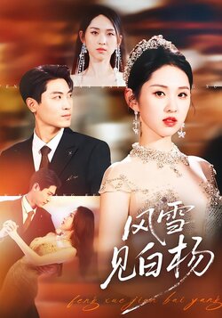 风雪见白杨封面图