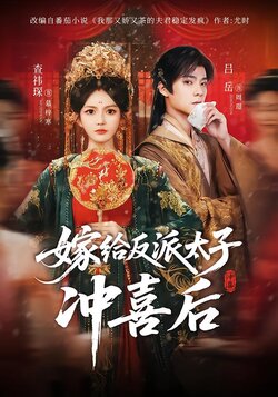 嫁给反派太子冲喜后封面图