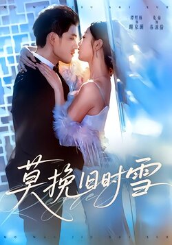 莫挽旧时雪封面图