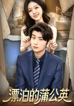 漂泊的蒲公英封面图