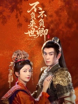 不负来世不负卿封面图