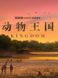 动物王国 配音版封面图