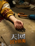 天网：夜半惊魂封面图