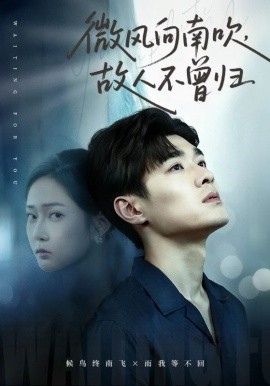 微风向南吹，故人不曾归封面图