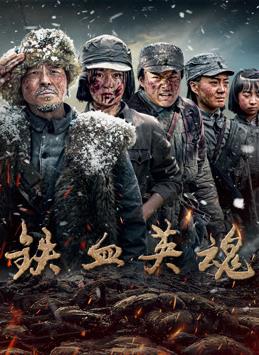 铁血英魂封面图