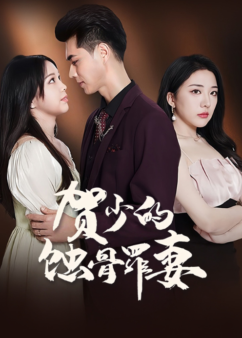 长公主殿下荣耀归来封面图