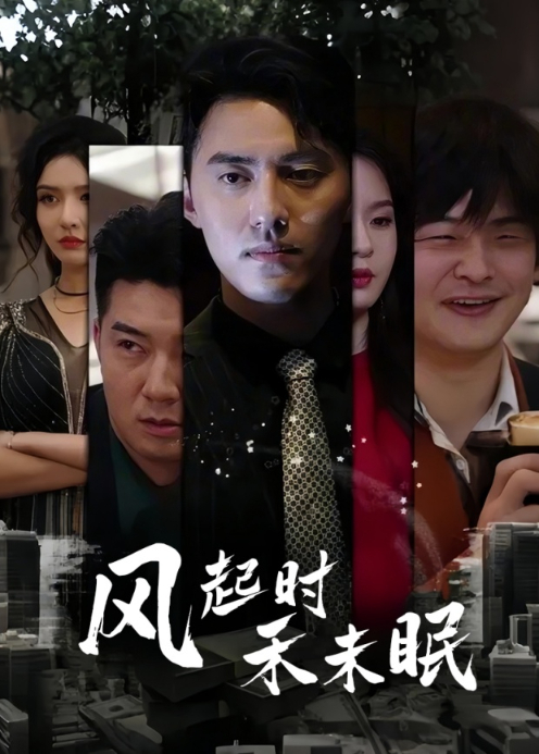 风起时禾未眠封面图