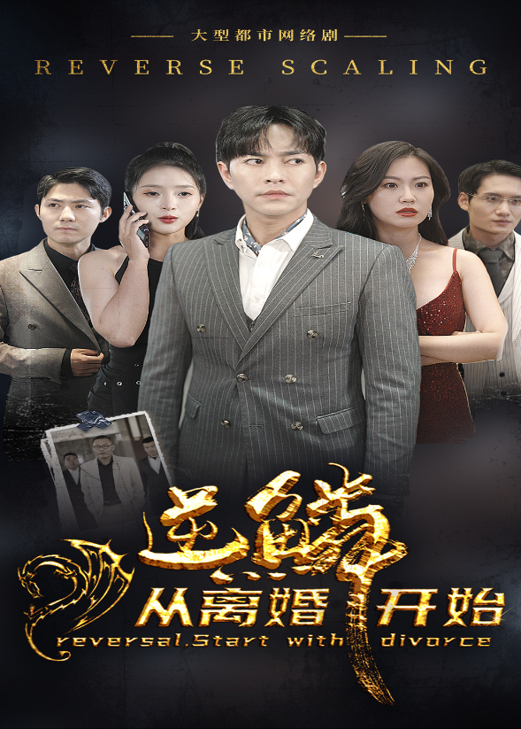 逆鳞从离婚开始封面图