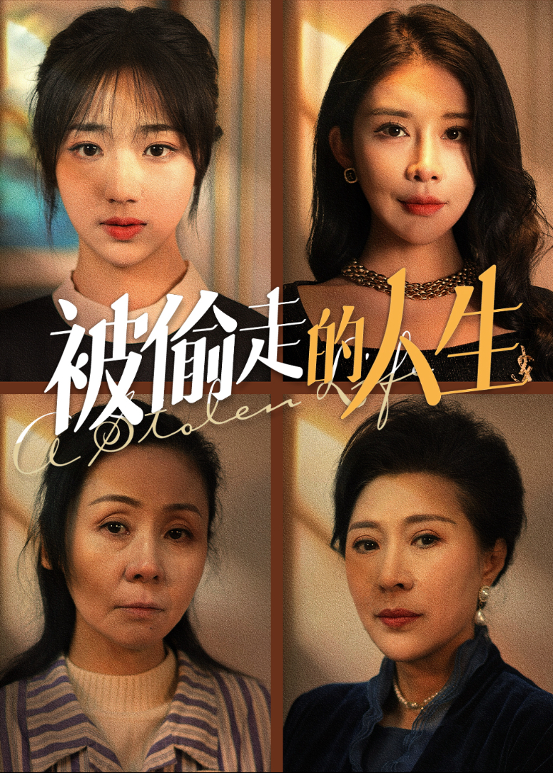 被偷走的人生封面图