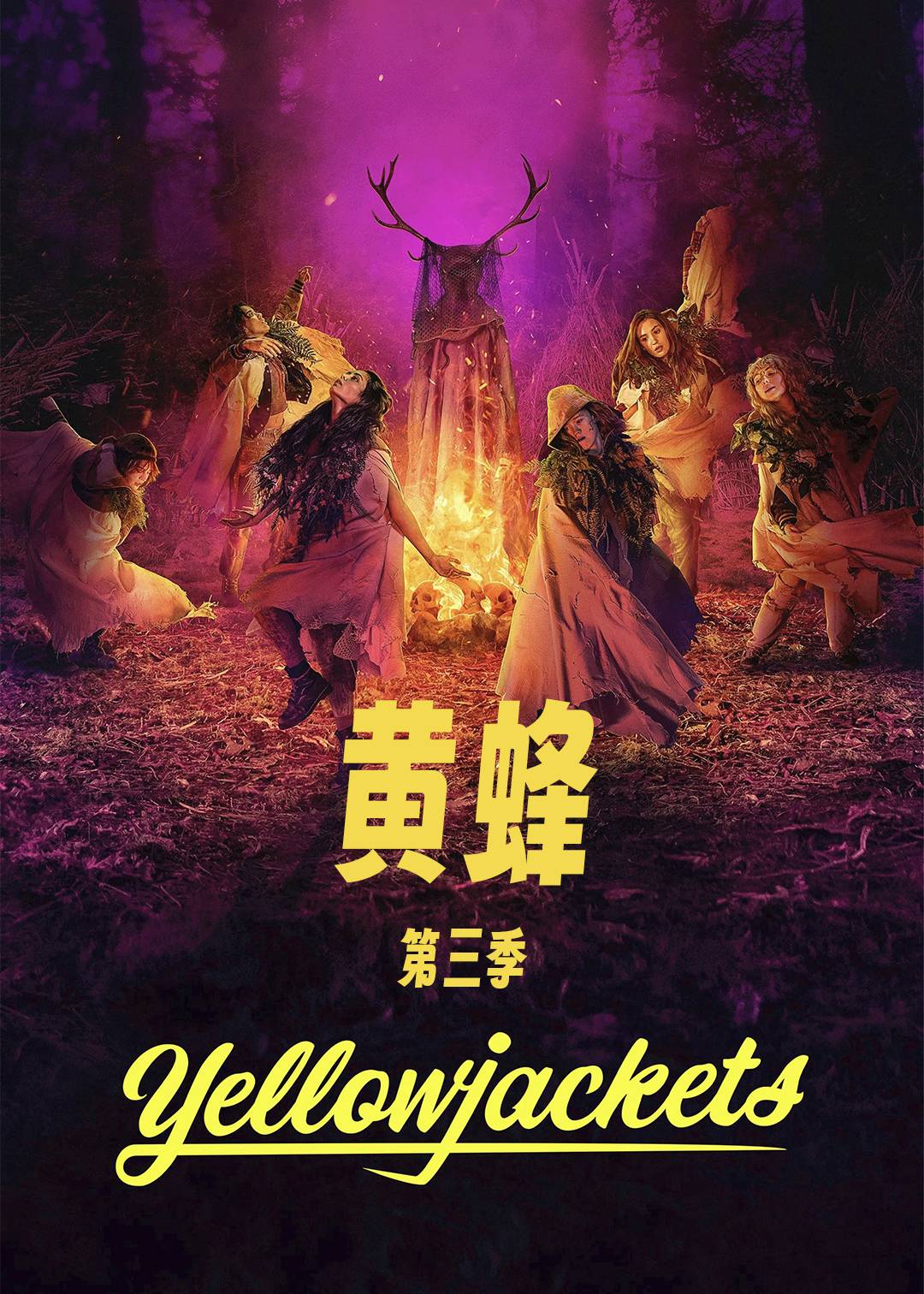 黄蜂第三季封面图