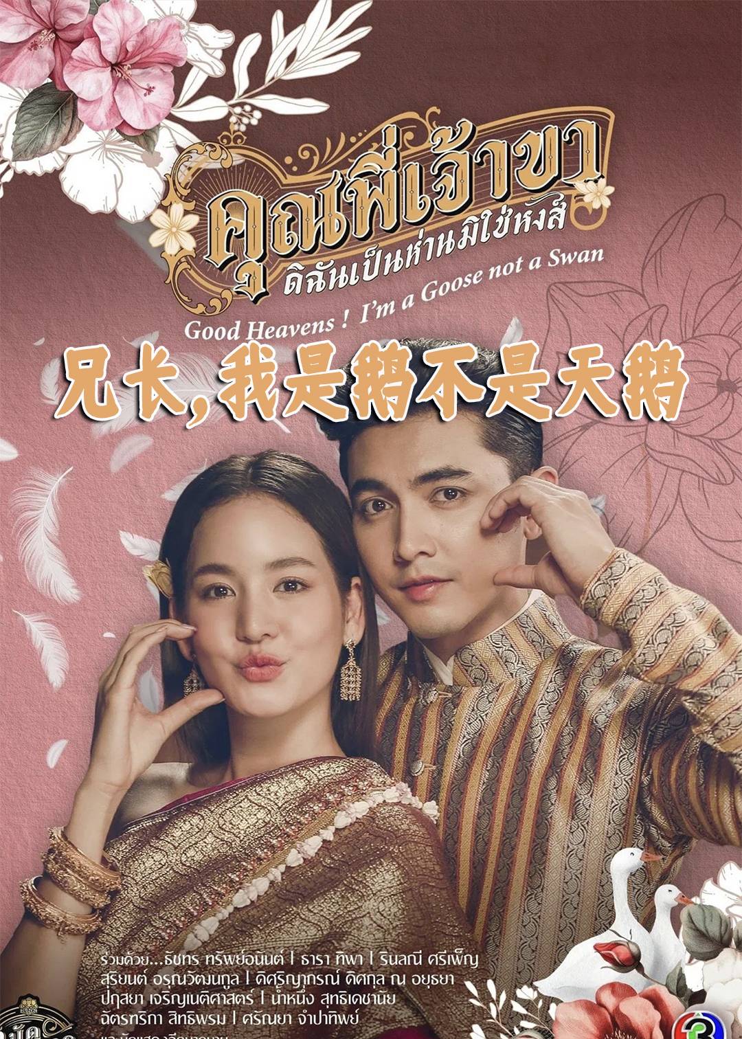 兄长，我是鹅不是天鹅