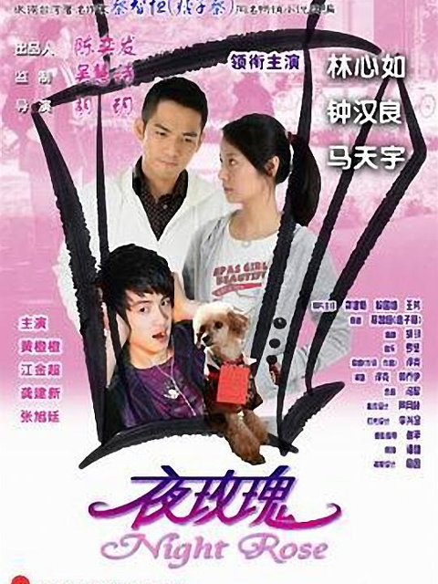 夜玫瑰封面图