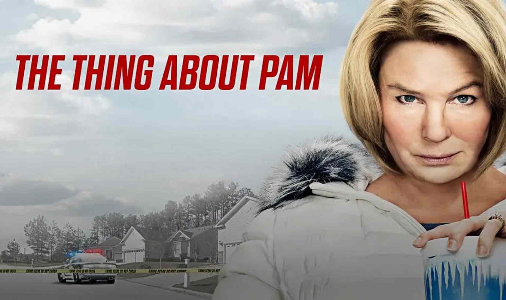 关于帕姆的那些事封面图