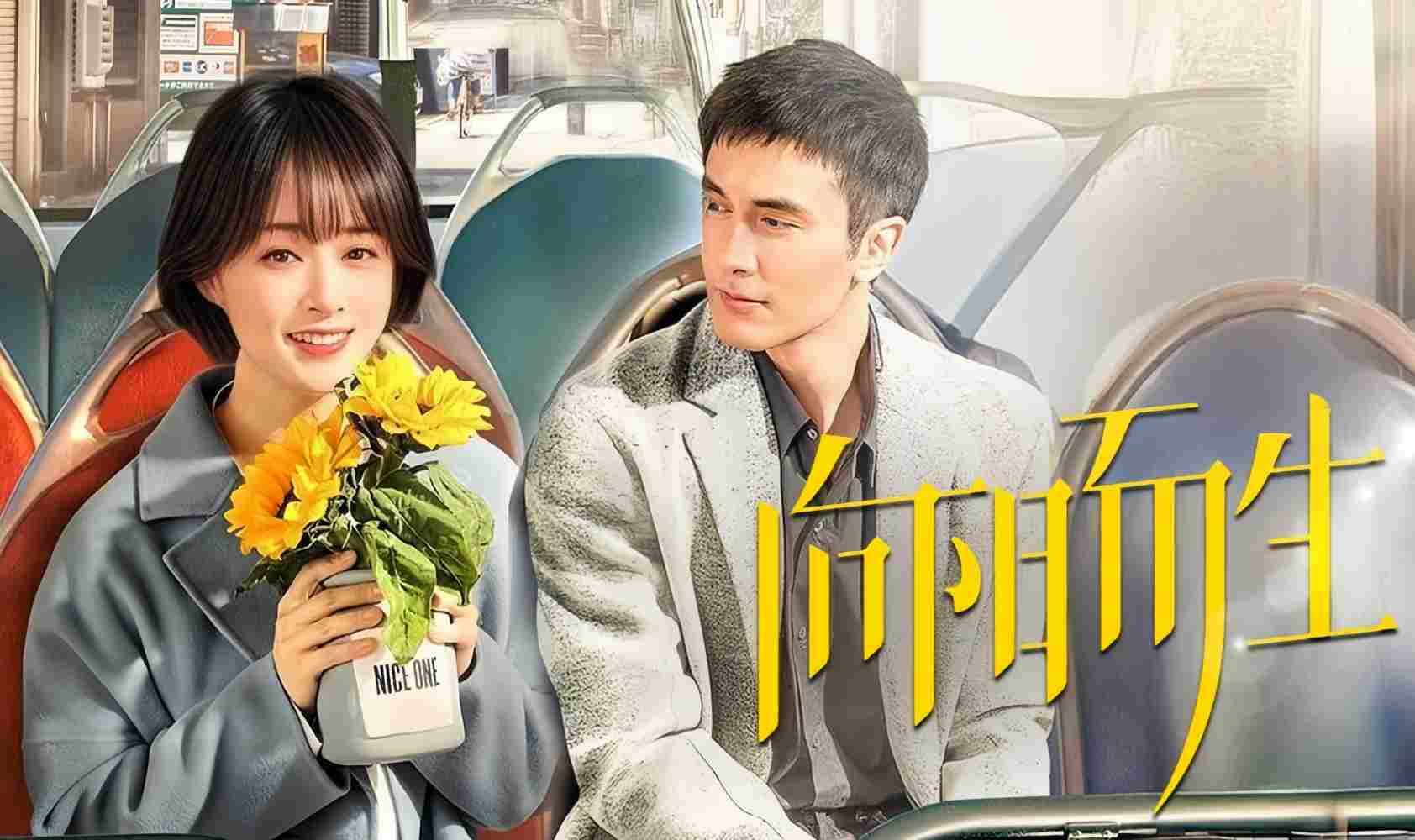 向阳而生封面图