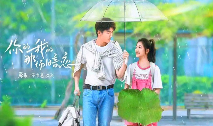 你的我的那场暗恋封面图