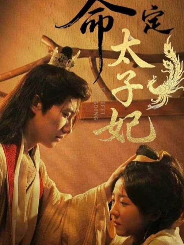 命定太子妃