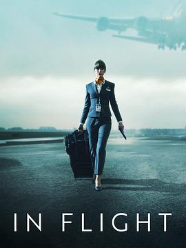 飞航奔逃封面图