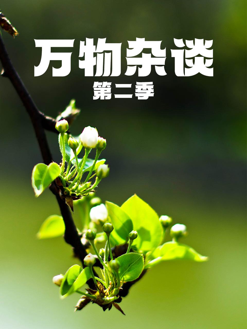 万物杂谈第二季