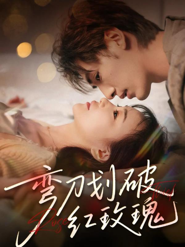 弯刀划破红玫瑰封面图