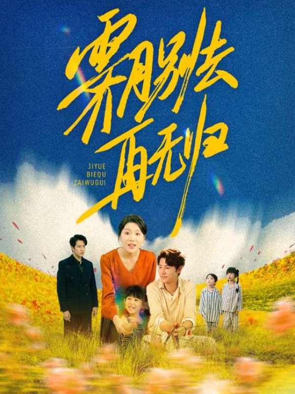 霁月别去再无归封面图