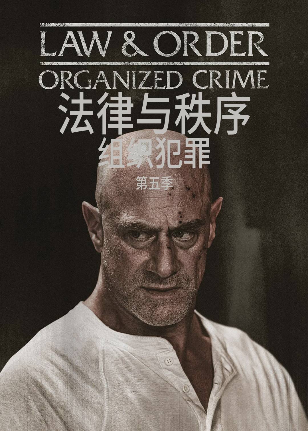 法律与秩序：组织犯罪第五季