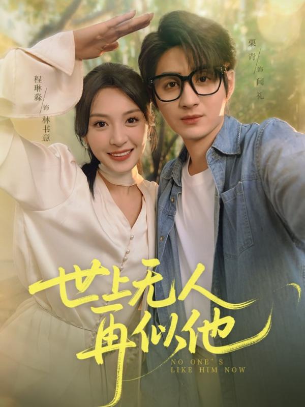 世上无人再似他封面图