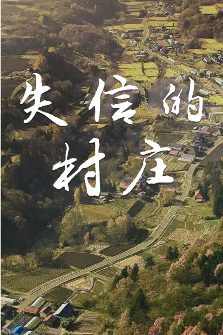 失信的村庄封面图