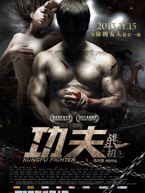 功夫战斗机封面图