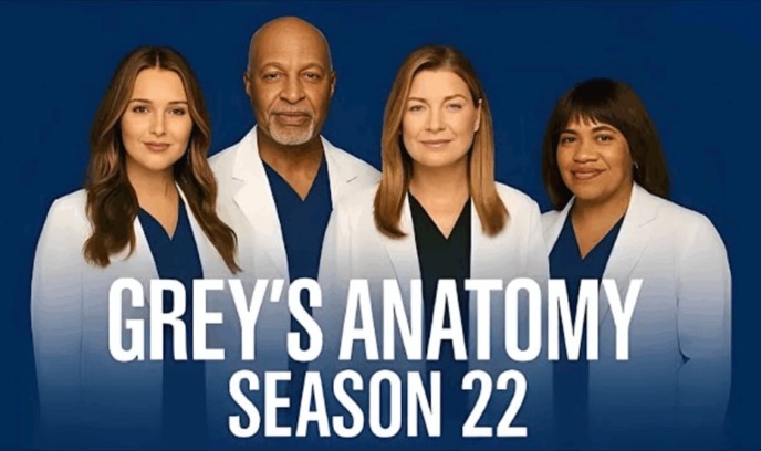 实习医生格蕾 第二十二季封面图